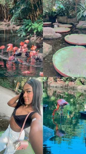 klarwillians Peace Pic 2