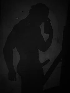 max__4vc Shadows Bilde