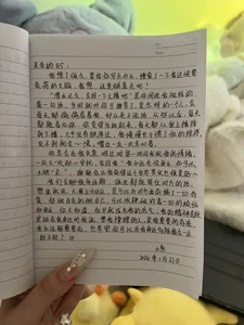 给我最爱的骑士们的手写信《85篇》