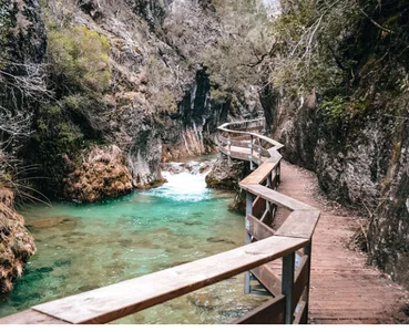 el_loco59 Public Pic 5