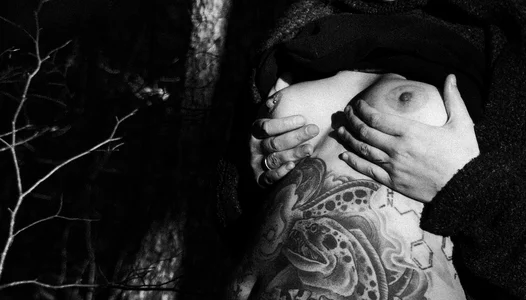 Moray_Eel Forest Poză 2