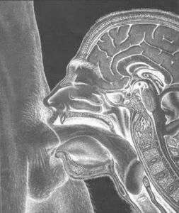 Gyminae kullanıcısının Public albümü -  2 fotoğraf