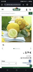 Public de FUBETTER  Imagens