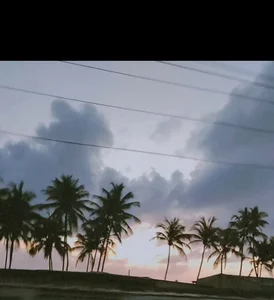 3Happy1 on the beach 🏖 Billede 5