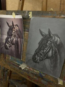 CrazyWomen If you curious what im doing except of webcam) зображення 2