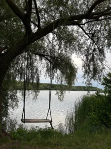 leslie_bird Listen to the wind—it knows the way🍃 Immagine 