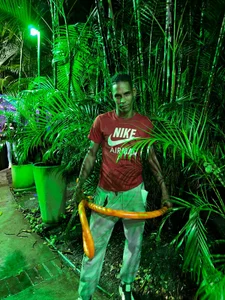 Night walk de Jax_Thunder Foto 2