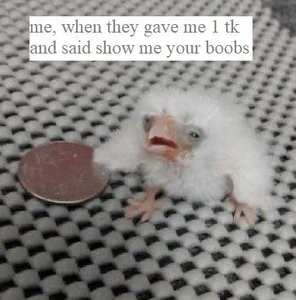 EvaThopson a few memes about me Pic