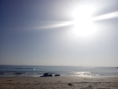 DomDix Public Billede 2