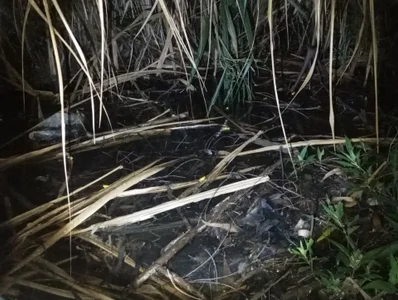 Atley_Dolly Weird stuff Pic 3