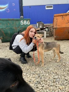 Silvia_Santorskii animal shelter Foto 2