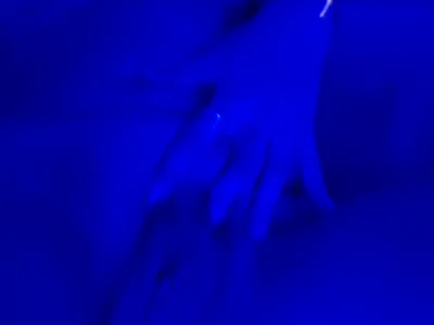 KingaCookiesPublic图片 2