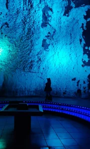 Pictures I took 🖤 od alicce_moon_  2 snímek