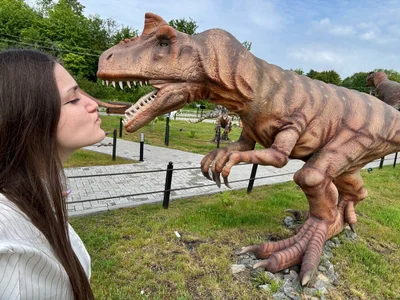 JessicaJewells 🦖🦖🦖 Immagine  2