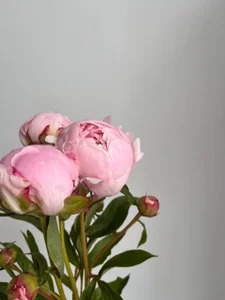 Touch_And_RunBeauty is all around us. Take a closer look.图片 6