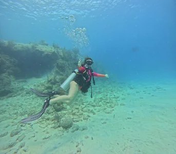 PollyGrey_ a happy day 🌊 Gambar