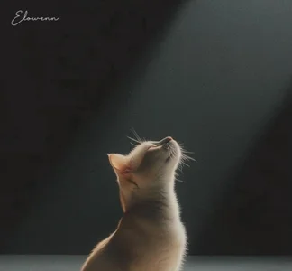 --102KymMiiss--のPublicの 9枚の写真