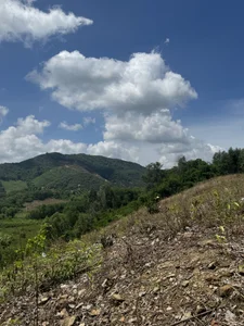 life is trying de Xaoxang  2 Imagens