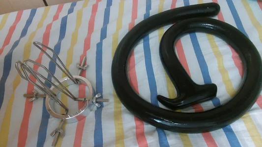 Public de Fedestination  5 Imagens