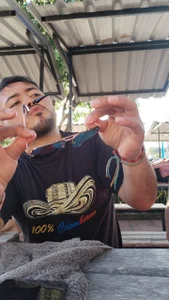 PaperedReflex Public Pic