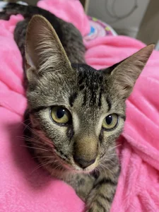 Nanami_19 ♥️🤭😋 사진 4