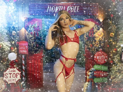 MERRY CHRISTMAS de cinthya_walker1  4 photos