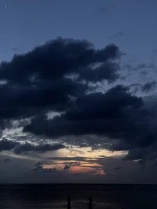 roseofvenom Public Immagine 