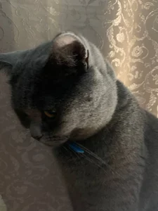 liana_kisses 🌞😻🌞 Immagine  5