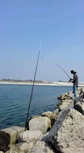 Zdjęcia nnjum My photo: 