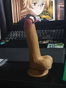 StudentHCM Public Billede 4