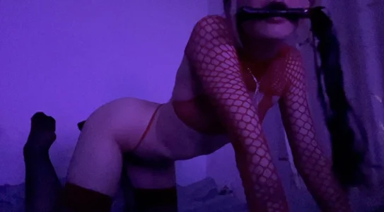 NoyaXO Public Foto 2