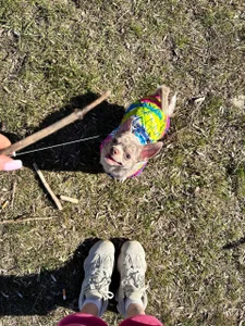 DinaTasty my animals ♡ Gambar 7