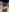 Lil-shawrie's photo