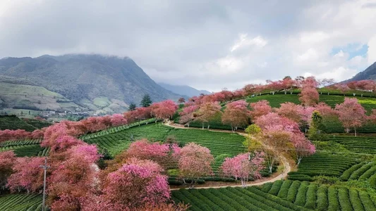 Eva_MeoDo you want to go with me? It's really beautiful. Bild 4