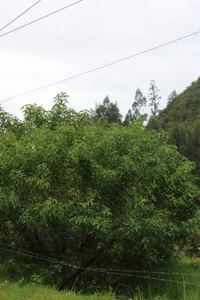 Zdjęcia Umaullucrazy69 Public:  4