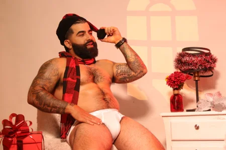 Lyon_vach: Christmas leon ( 7 фото)