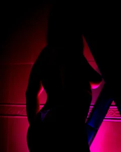 Santa_Cooper_ My beautiful silhouette  3টি ছবি