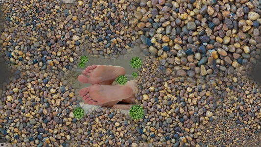 EvaDreamのdelicate legsの枚の写真