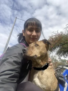 Ca-tmila Volunteer at an animal foundation🐶🐾 Bilde 9