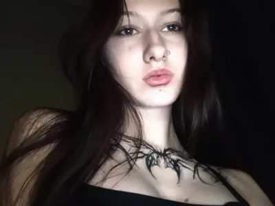 Public de TeodoraMcdevitt  3 Imagens