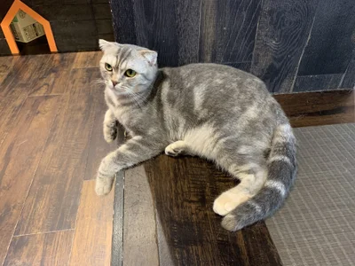 YARASERO-kunの思い出の 4枚の写真