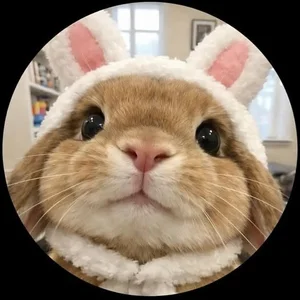 Conejito de Superbunnyyy  Imagens