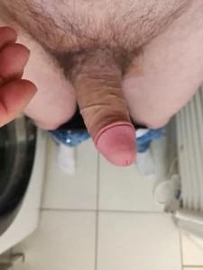 bgwill1 Public slika