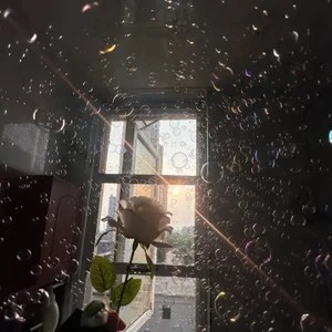 Shkytgv Public Immagine  3