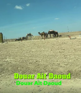 BicolorCandidate81 Public зображення