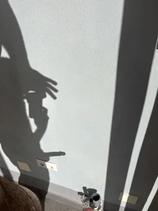 steffynighty2 Sights Foto 2