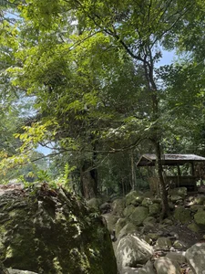 TS-SimplyTheBest nature knows best🌱˚⊹ Pic 6