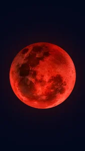 ColBoyGay Public Hình 4