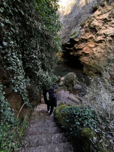 Ole_Plus Public зображення 4