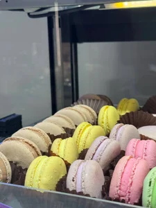 EIeniVanwart Summer vibe 2 Pic 3